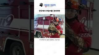 웃긴 상황들 모음 221탄 ㅋㅋㅋㅋ