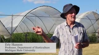 MSU Tour Analyzes High Tunnel Fruit Production—FGNtv