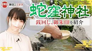 【財運富貴清浄】白蛇様のご神徳をいただく方法をご案内【蛇窪神社#2】