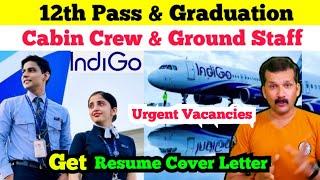 Indigo Airlines | Airline Job | Airport Job | Cabin Crew Job | Ground Staff Job