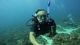 Diving with Jeffery... a Sandals underwater photographer.