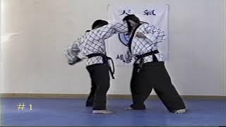 Hapkido vol1-1