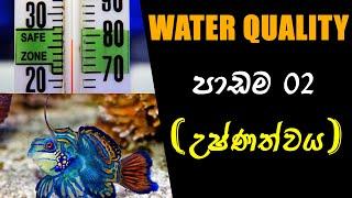 Water Quality Lesson 002 (Temperature) .... FishFix SriLanka