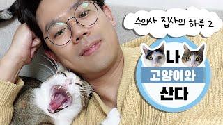 [v-log] 수의사 집사는 고양이랑 집에서 하루종일 뭘 할까?