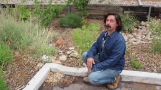 USU Moab Permaculture Garden