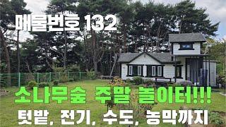 [매물번호 132]소나무숲 주말놀이터, 농막, 전기, 수도, 텃밭, 자연숲 #밀양부동산#밀양촌집#밀양전원주택