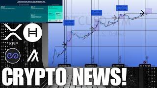 Another Bull Run? XRP PEAQ HBAR ALGO  CRYPTO NEWS