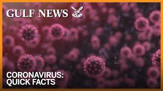 Coronavirus: How novel coronavirus (COVID-19) spreads from one person to the next