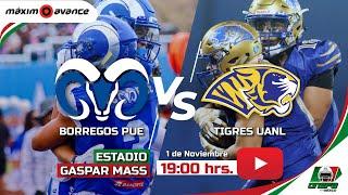 MÁXIMO AVANCE EN VIVO: BORREGOS PUEBLA vs TIGRES UANL | ONEFA MAYOR  2024 #ONEFA #maximoavance