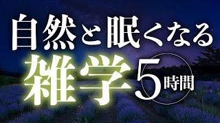 【睡眠導入】自然と眠くなる雑学5時間【合成音声】