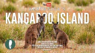 Australia Wildlife Documentary 4K | Kangaroo Island