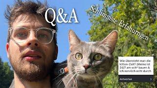 Unsere schlimmen Erfahrungen/ Bin ich Single? Q&A/ Alles über die Katzen