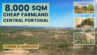  Cheap Farmland for Sale in Central Portugal | €10000