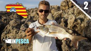 MENORCA Ep. 2 | Amberjack in Top Water at Light Spinning + Dentice at Light Shore Jigging