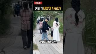 충격적이라는 빅뱅 태양 집 ㄷㄷ