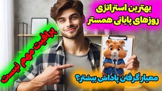 باید اینطور پیش بری در روزهای پایانی همستر