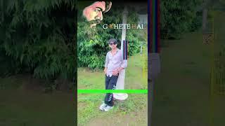 Udati Kabutari Pankh lag jave #sorts #song #fashiontrends #dance #reels #viralvideo #viralvideo #sor