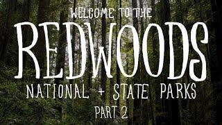 Road Trip Through The Redwoods - Part 2 | One Log House, Confusion Hill, And More!