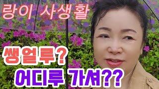 랑이의 사생활 [생얼루? 어디루 가셔??] #아오지랑이tv #늦깎이랑tv #탈북가수랑이 #랑이일상 #랑이 사생활