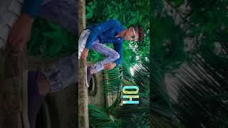 Despacito English song || Ibrahim Creation 07 ||