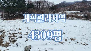 괴산토지매매/ 2차선도로변 4000여평 계획관리지역 토지.괴산부동산.괴산토지.전원주택매매.농가주택매매.농막매매.