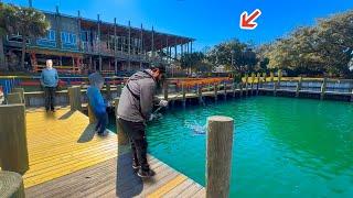 Pier Fishing Behind Giant Restaurant For Dinner! *Best of the Year*