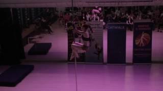 Ольга ФилИппова - Catwalk Dance Fest VIIl [pole dance, aerial] 16.04.17.