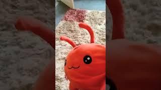 STOP COPYING ME LOBSTER