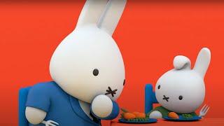 Eat Your Vegetables | Miffy | Cartoons for kids