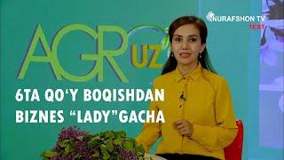 AGRO UZ "6TA QO'Y BOQIB BIZNES LADY, BEDANA BOQISH SIRI, BODRINGDAN KEYIN NEGA "CHESNOK" EKILADI?"