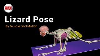 Lizard Pose: Achieve Optimal Hip Mobility