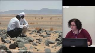 Case study 2: Cultural heritage projects, central and northern Mauritania