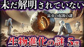 【ゆっくり解説】未だ解明されていない生物進化の謎５選