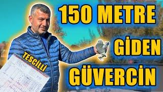 15 DÖNÜMLÜK GÜVERCİN ÇİFTLİĞİ - ERDİNÇ ÖZPİLAN KÜMES ZİYARETİ