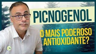 PICNOGENOL - O Segredo para melhorar sua saúde!