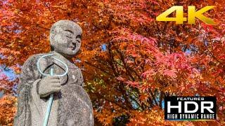  The Beauty of AUTUMN IN JAPAN - Visiting Jozunji Shrine Near Sasebo | MOMIJI EVERYWHERE [4K HDR]