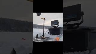 Trout strikes! #trout #icefishing #fishing #little
