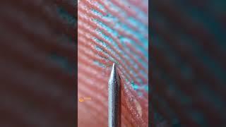 Finger and Needle Close Up | ASMR Macro Video #satisfying #experiment