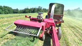 Chopping Hay On A Small Wisconsin Dairy Farm l In Cab View l (2024 Hay Season)