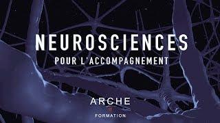 Formation Neurosciences en ligne | ARCHE Formation