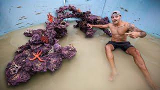 Building a REEF inside My SHARK POND!!