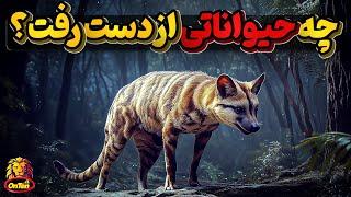 حیوانات بی نظیری را که در سالهای اخیر نابود و منقرض کردیم