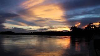 Tambopata, Peru: What A Wonderful World