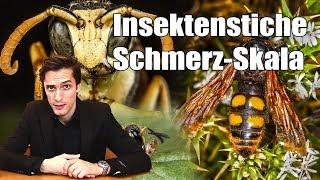 Insektenstiche Schmerzen Skala - Justin O. Schmidt