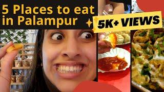 5 Best eating points in Palampur || Food review || Dabs Vlogs