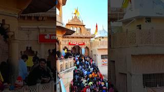 ladli ji mandir barsana | #shorts radha krishna status