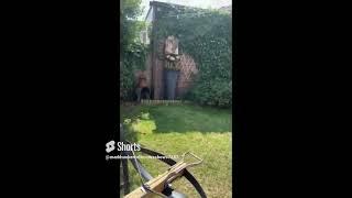 munitions grade crossbows on there way #shortsvideo #shortvideo #shorts #short