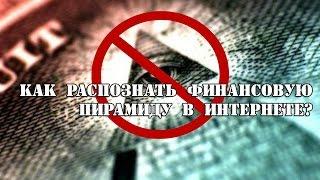 «Как распознать финансовую пирамиду в интернете?» Павел Филиппов