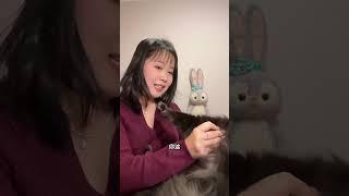 怎么会有猫这么烫手啊？ 一点警告不给，闷声啃一口大的。黑猫 这是我的好猫