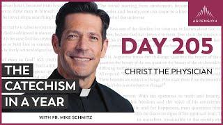 Day 205: Christ the Physician — The Catechism in a Year (with Fr. Mike Schmitz)